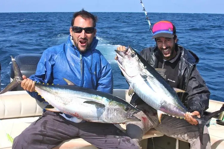 它是非洲最富有的国家，曾邀请中国在其领土建立军事基地
