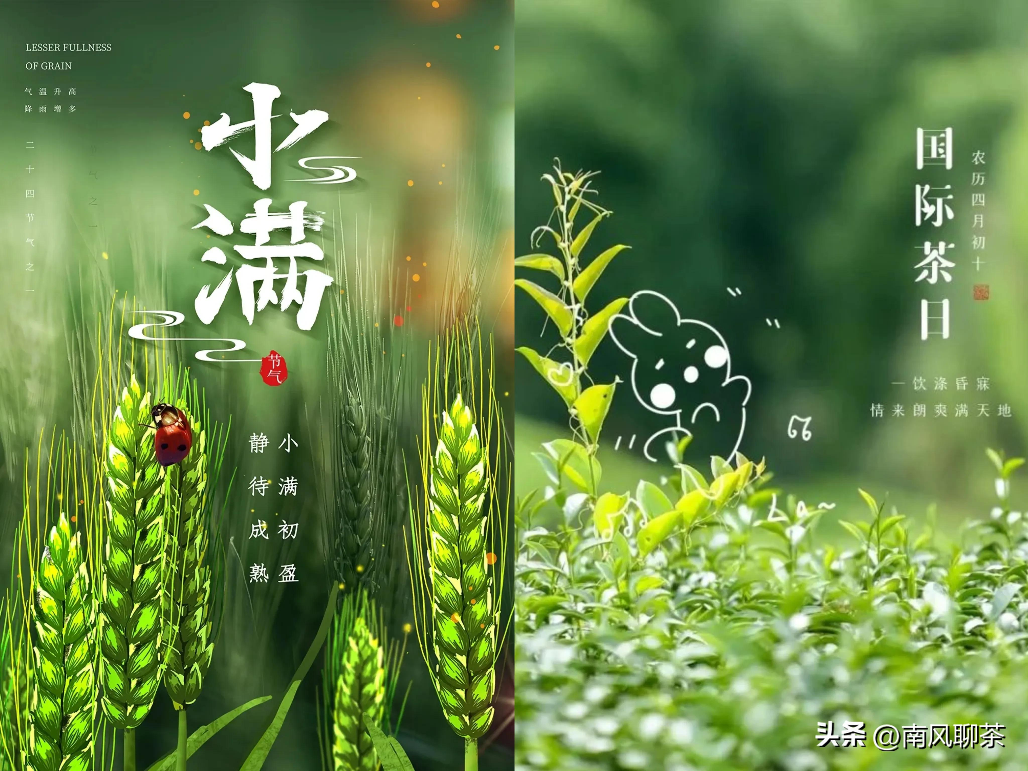 喝茶怎样才能中奖,买茶怎么才不会被坑