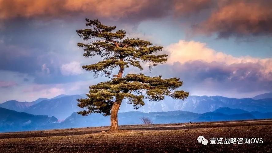 茅台两大产区,贵茶与茅台