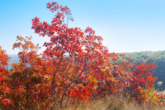 我帮同学交三年学费，他功成名就不接我电话，我拉黑后却来找我