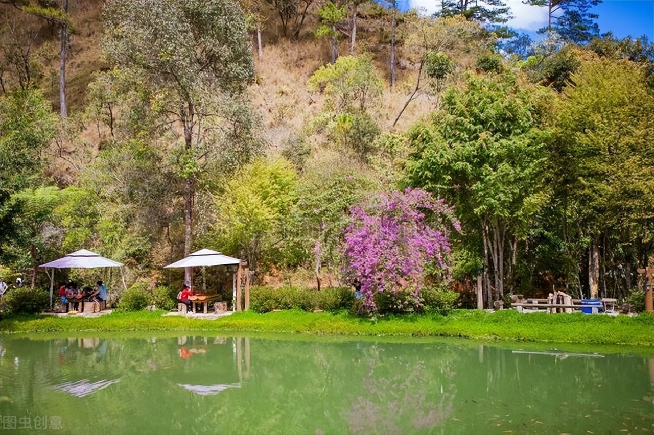 民宿合伙人成功案例,民宿创业者的示范事迹