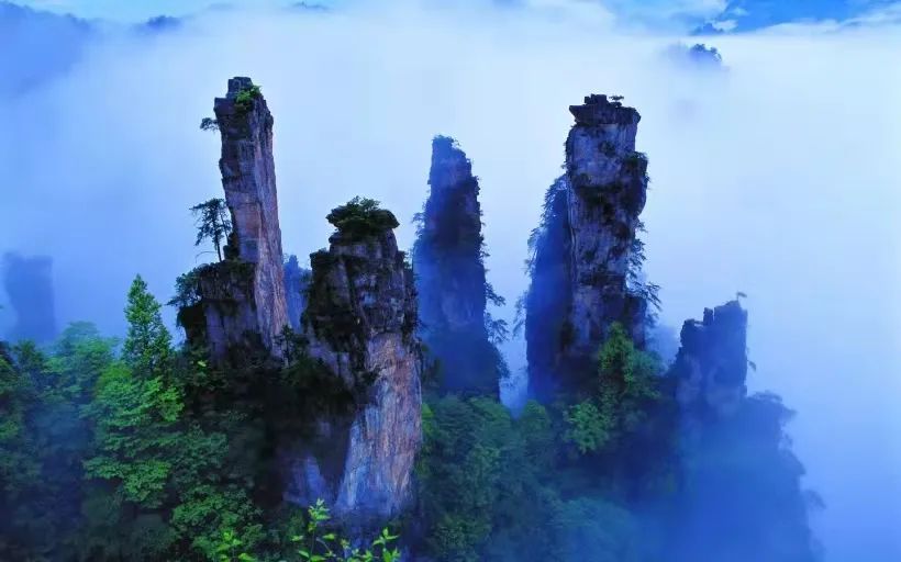 「每日黄诗」那里真是中国钱币最多的地方！《浦东的摩天大楼》