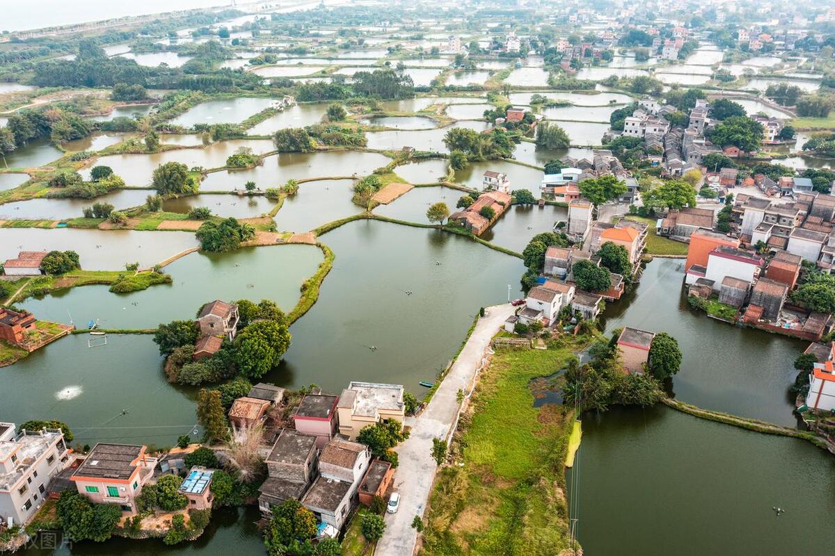 鹤山古劳水乡自由行,鹤山自由行攻略