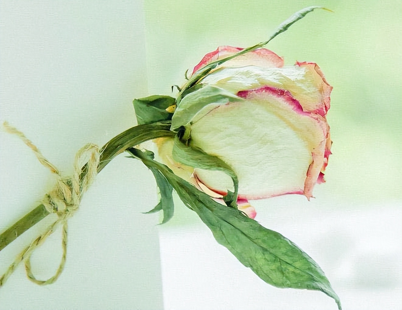 我的前半生罗子君抢闺蜜男友,我的前半生罗子君找到证据