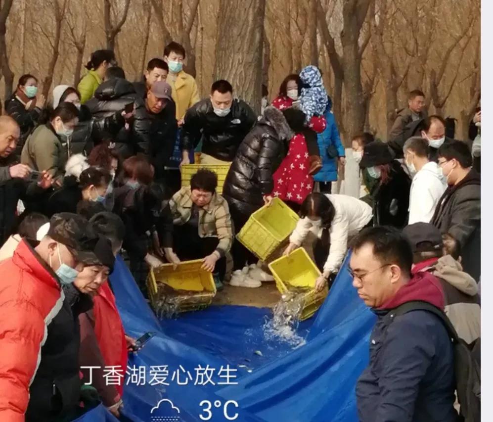 放生就是解困,人们口中说出的放生