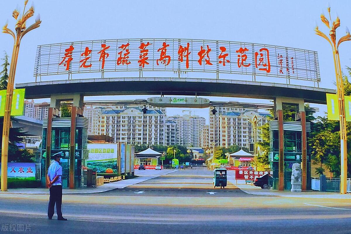 中国第一的农业大省,中国蔬菜大省山东