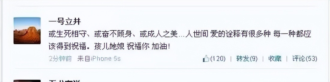 王菲和谢霆锋张柏芝的情史,李亚鹏与王菲现在的情史