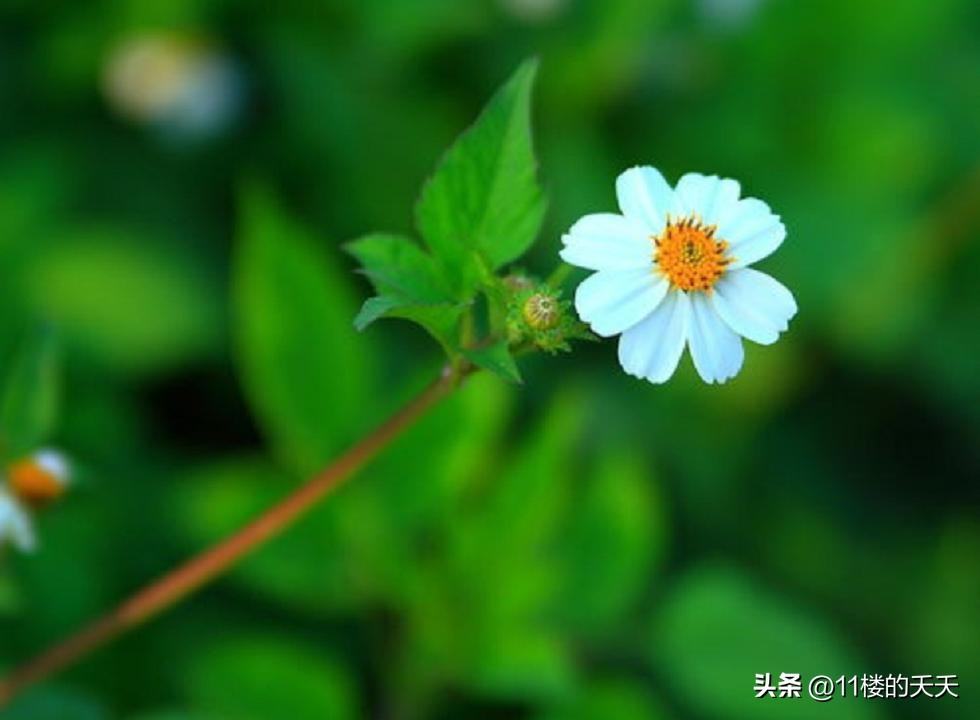 不联系的微信好友是删除还是拉黑,没有联系的微信好友要不要删除