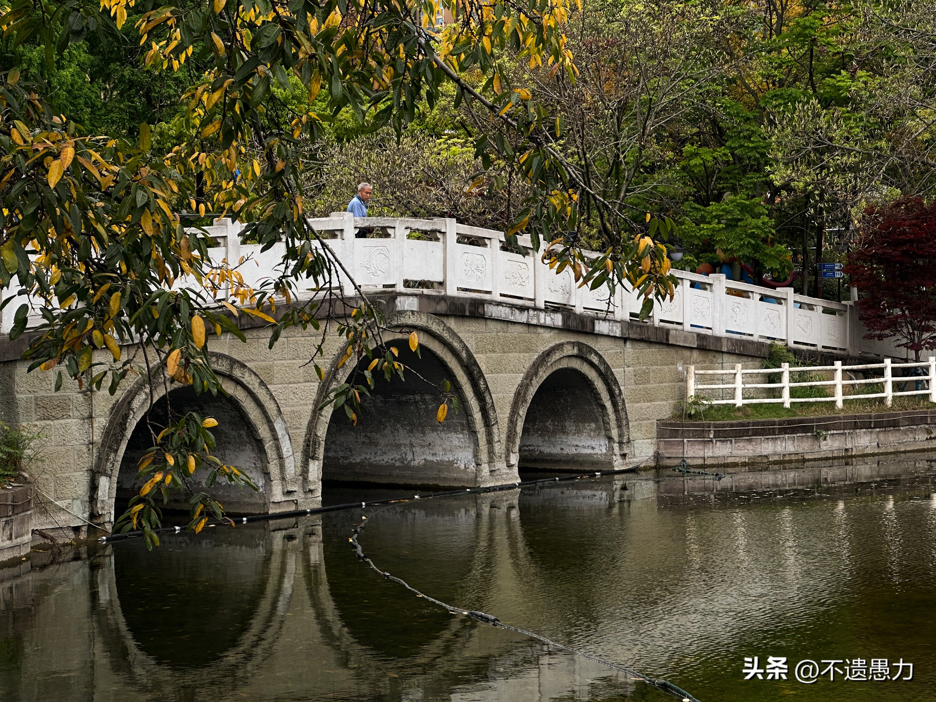 为什么现在手机摄像头越来越多,为什么手机摄像头越来越模糊了