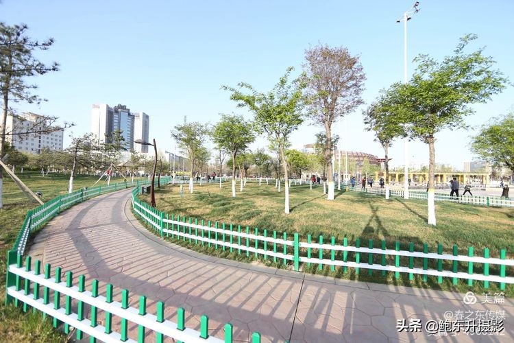 清晨的公园静态美和动态美,运城体育公园夜间灯光