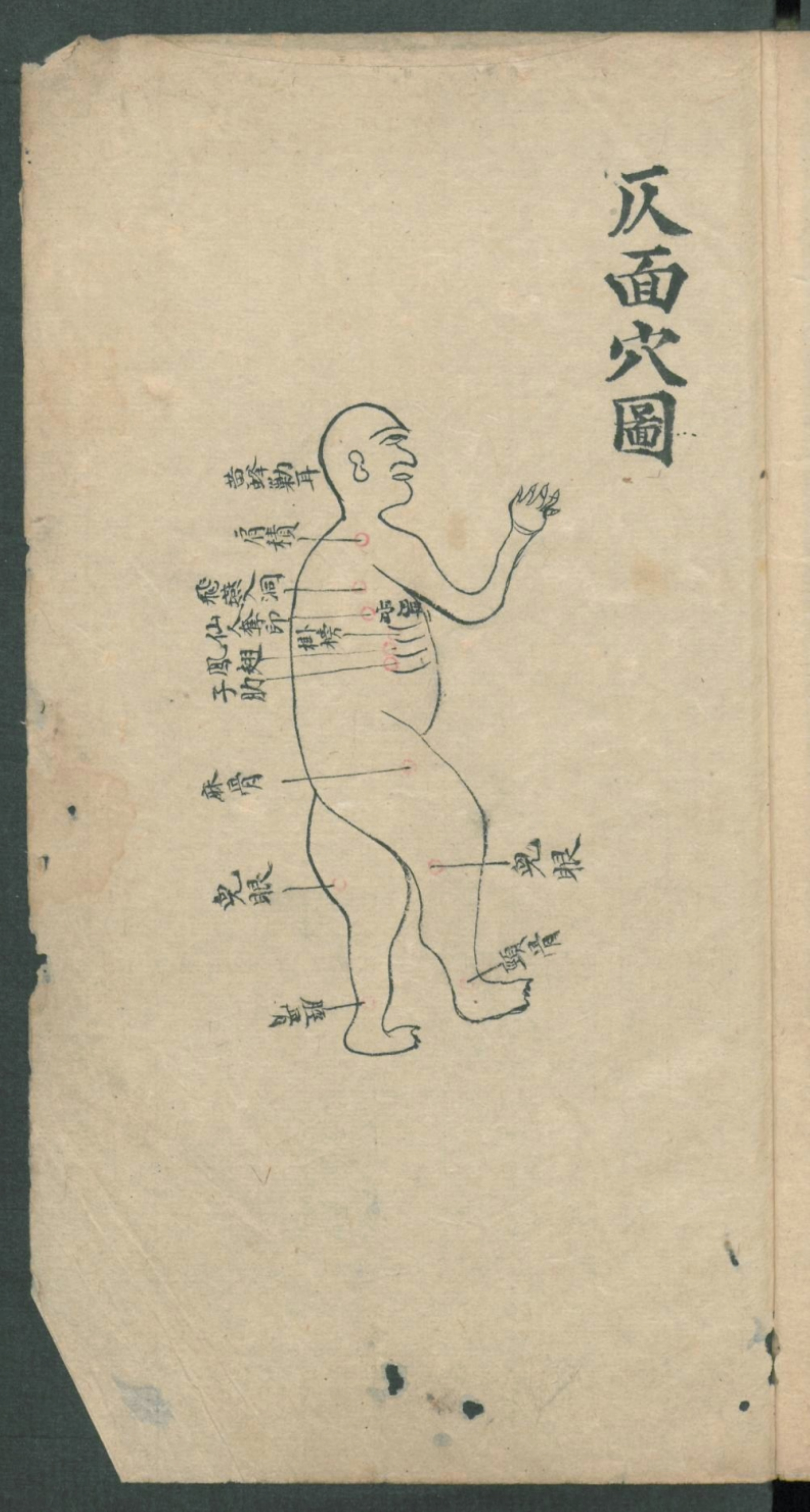 秘传跌打秘方,秘传跌打药方
