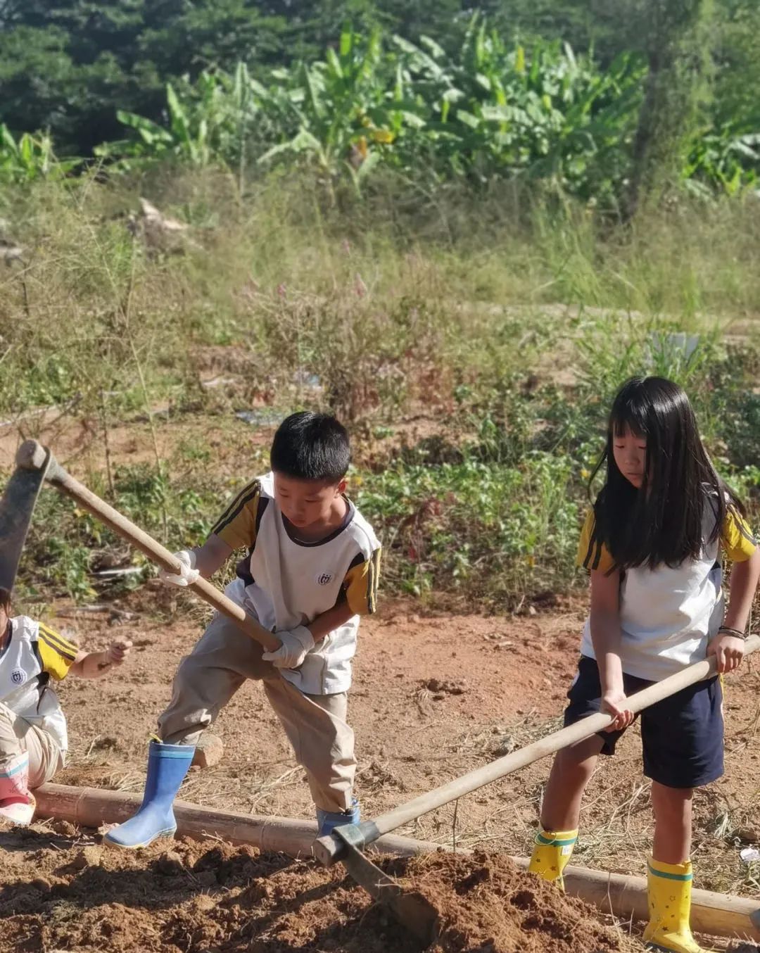 前方高能校园歌手演唱瞬间,前方高能校园