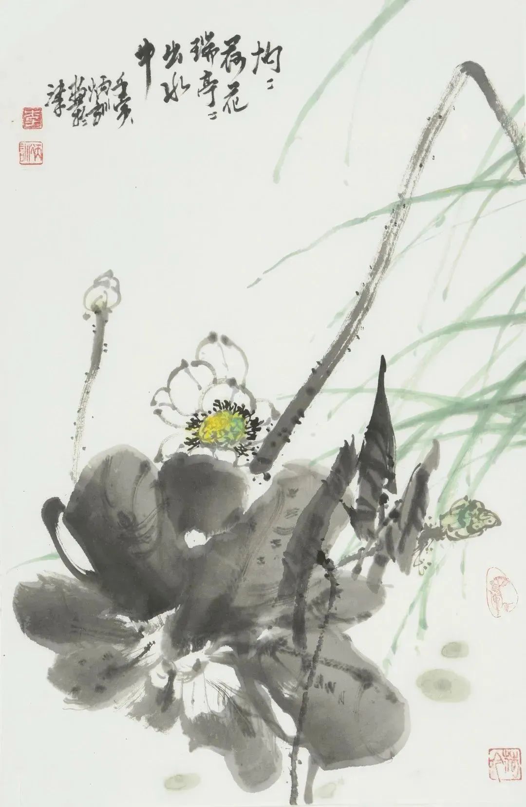 灿若繁花2020,2024宋元书画展