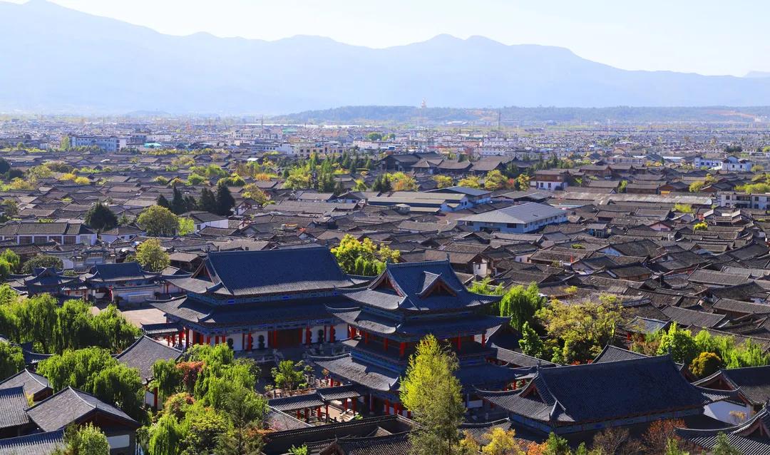 丽江古城一家客栈,丽江古城哪一家客栈门口有个大树