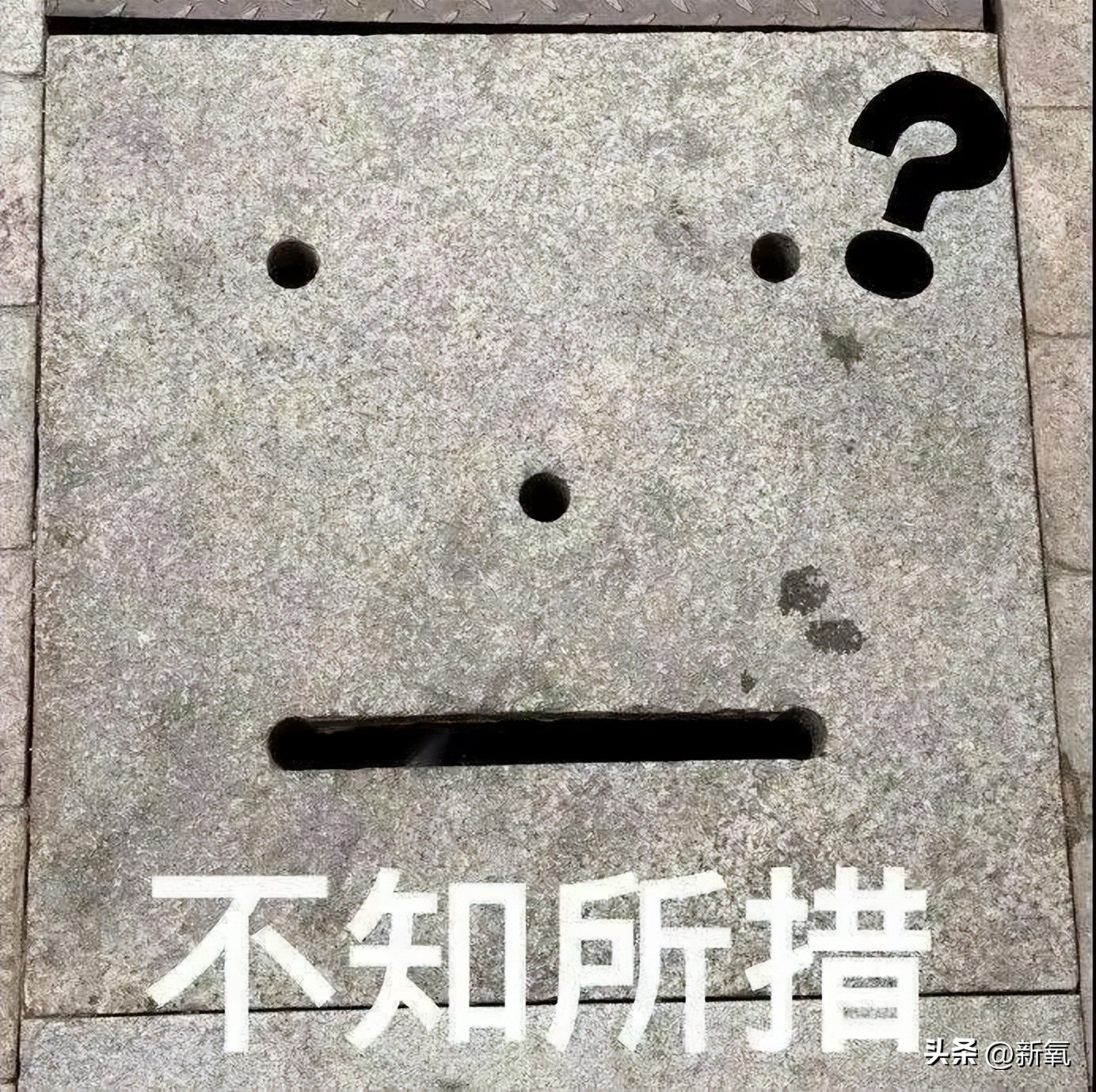 马东锡和芮呈和如何认识的,马东锡和芮呈和合影