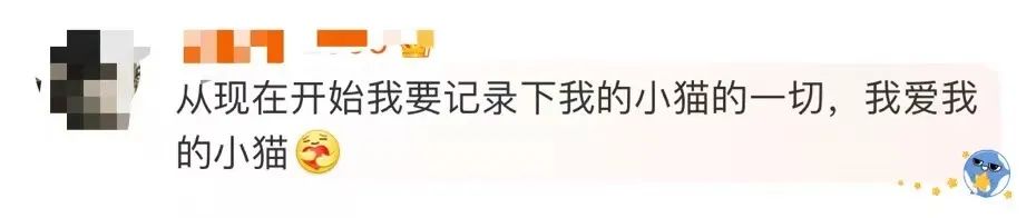 养猫的呼噜声音 (养猫呼噜的声音)