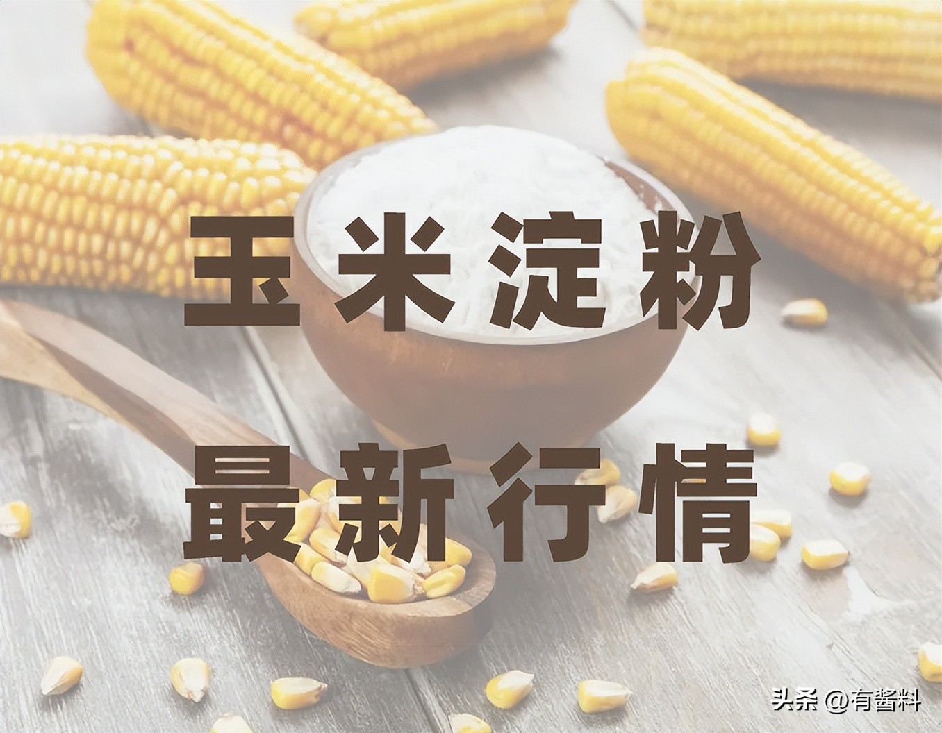 最新玉米淀粉行情日报20230407：依旧具有上涨动力，关注开机情况