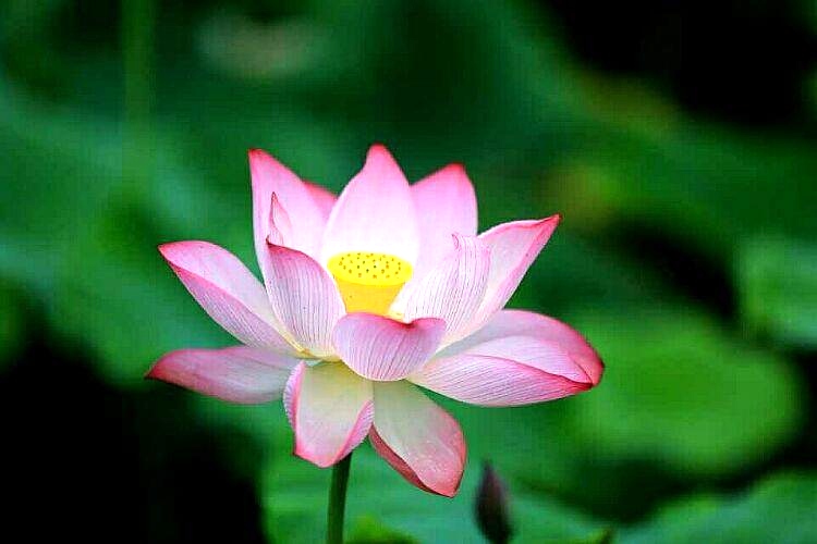 茅塞顿开恍然大悟醍醐灌顶,记住以下六点保证让你茅塞顿开