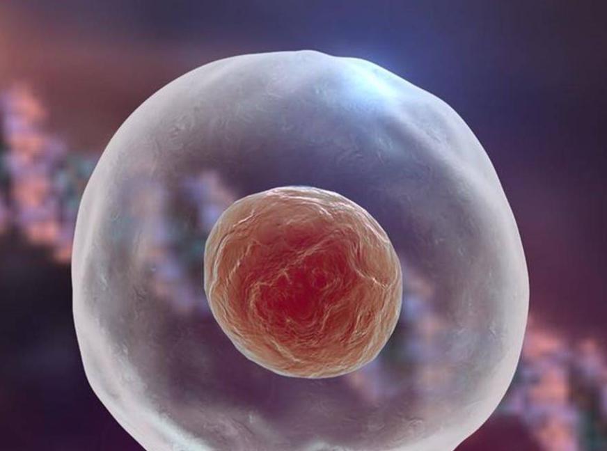 月经前几天是安全期时间表,例假前是安全期还是后是安全期