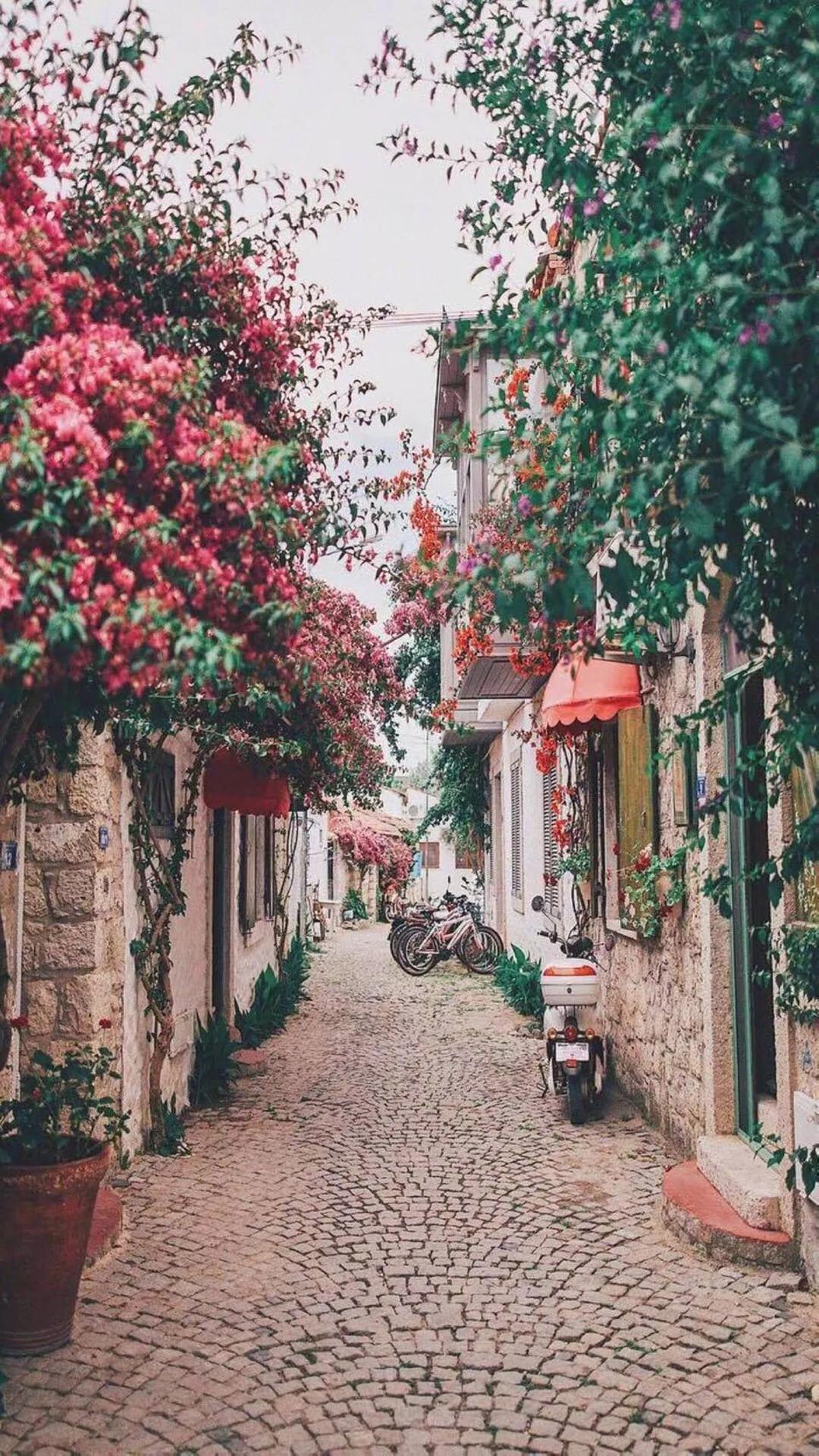 唯美手机壁纸高级感,唯美手机壁纸高清全面屏