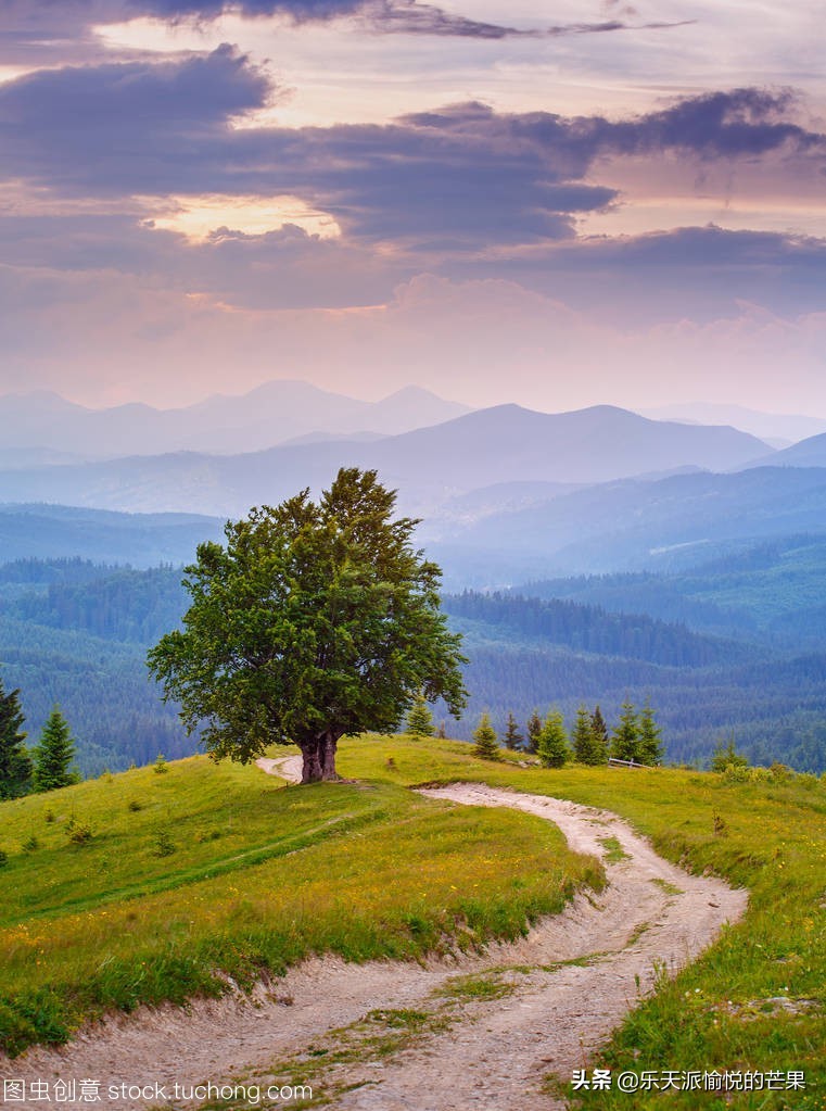 旅游景点套路骗局案例,旅游景点坑人的物品