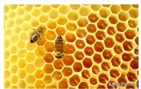 小学四年级数学图形专题,四年级上册数学图形整理