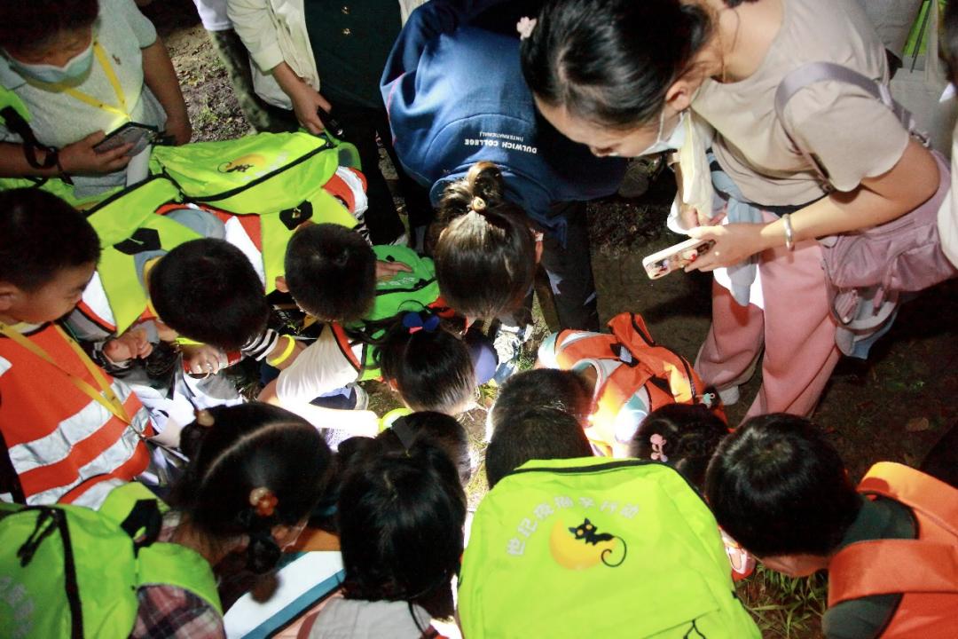 上海沉浸式夜游公园,上海森林公园夜游