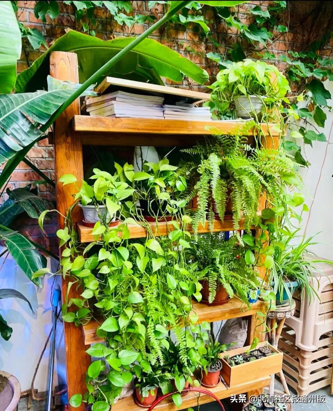 宋庄宝藏美食,通州还有哪些宝藏美食