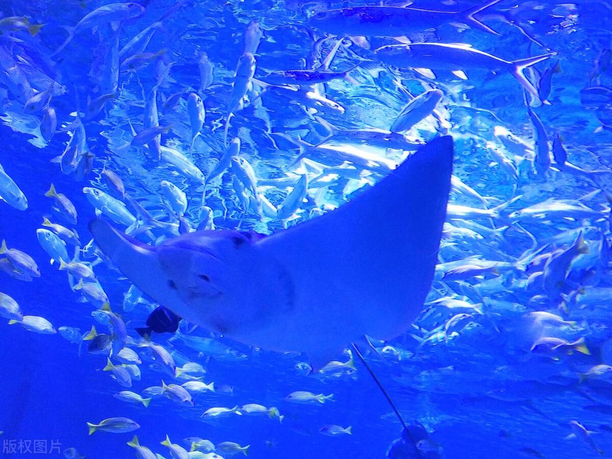 合肥附近十大景点排名,合肥十大最好玩的景点是什么