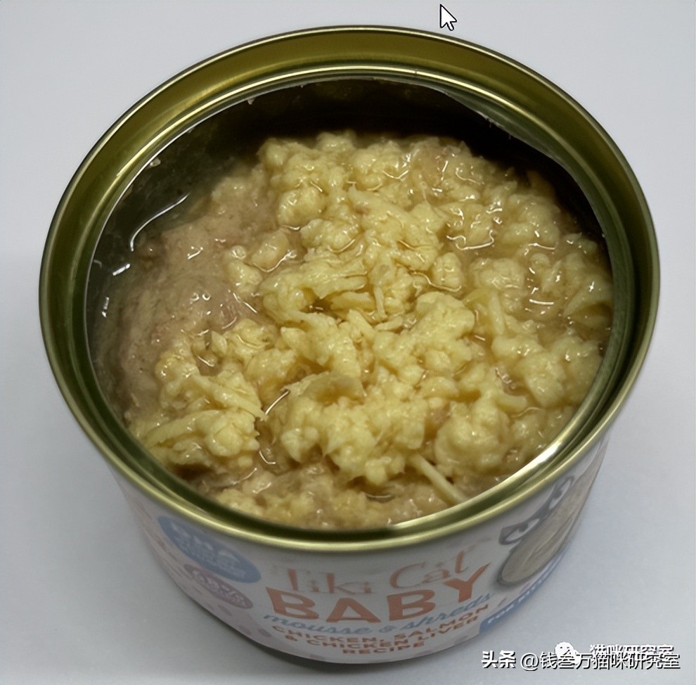 流浪猫幼猫主食罐推荐,幼猫主食罐推荐