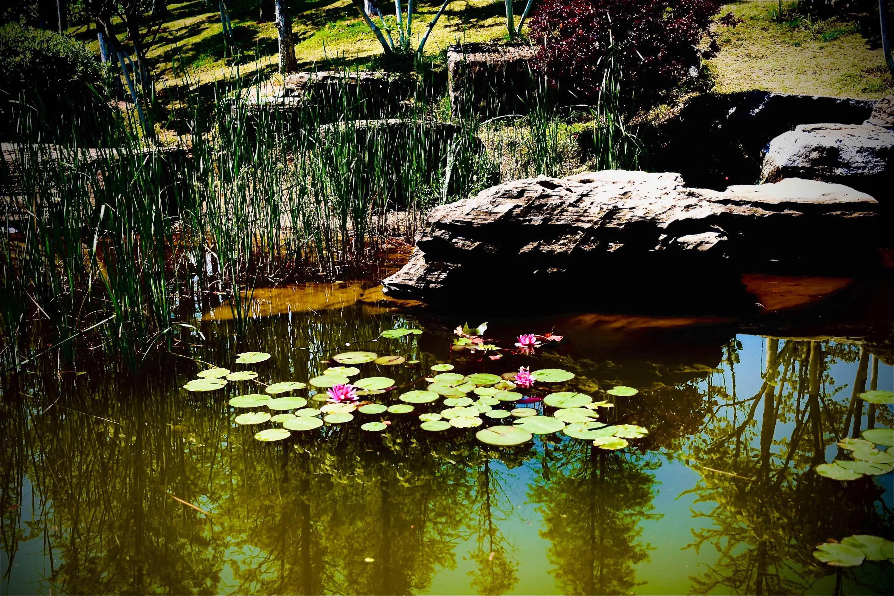 知福惜福造福才最有福,知福惜福造福就是幸福