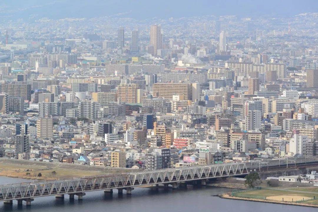 日本01年出生人口,日本01假面骑士