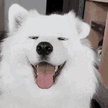 赛博朋克通性,赛博朋克与异性