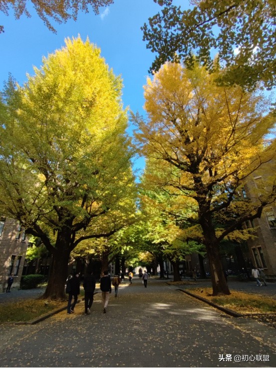 日本东京大学留学回国,日本东京大学本科交换生