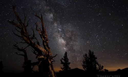 规矩作“几何”图形:圆与方