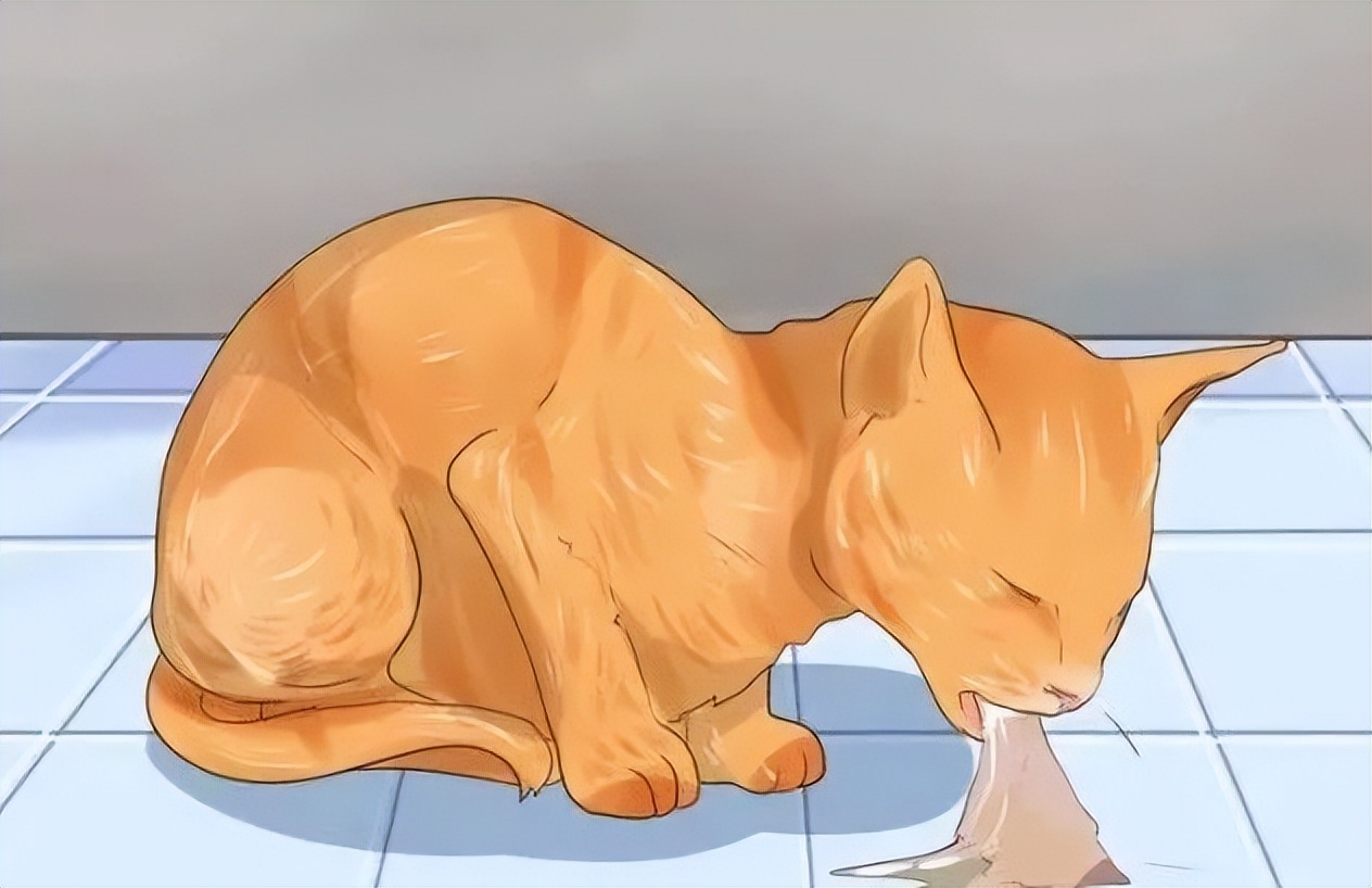 铲屎官注意了，猫咪常见寄生虫汇总，要牢记