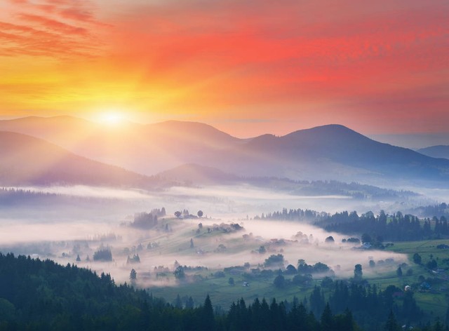 七律初夏七绝,七律秋日晨雨