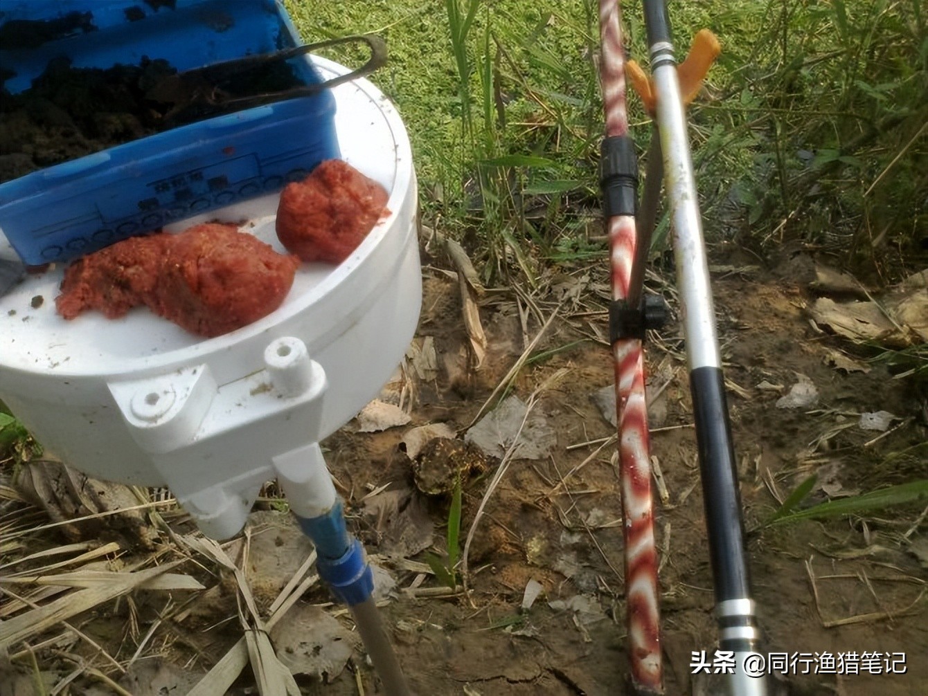 300元以内的鱼竿性价比,25块钱一把鱼竿靠谱吗