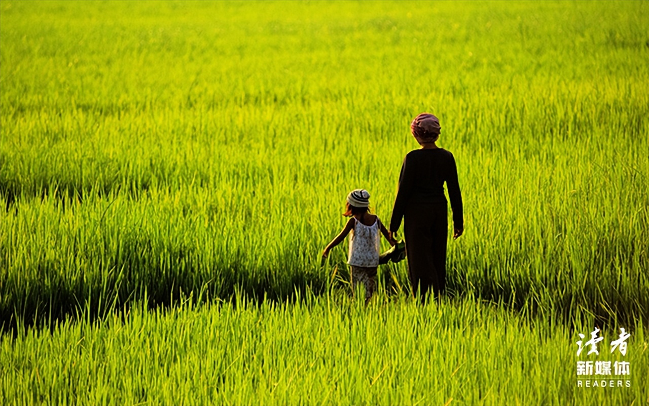 211白嫖事件是哪个学校,211白嫖事件学校处理