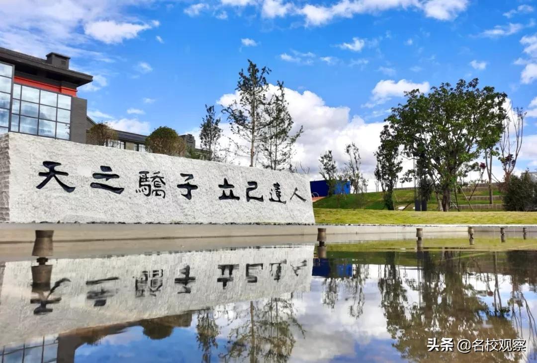 天立教育大盘,天立教育品牌