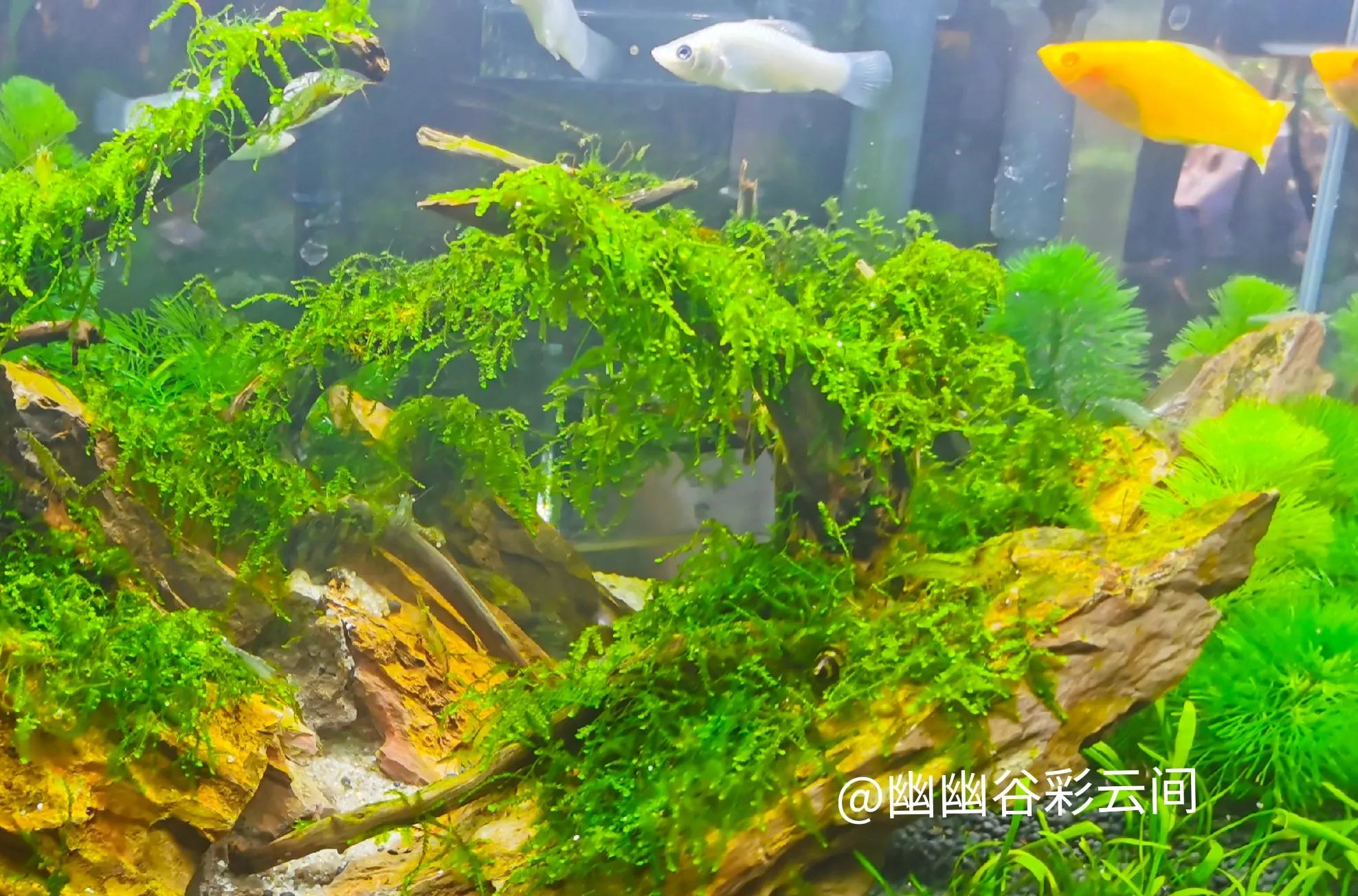 原创随笔感悟300字,头条分享心得的简介怎么写