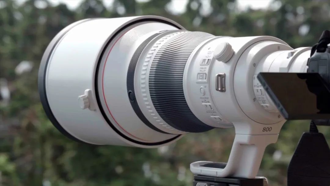 佳能rf800mmf5.6价格,佳能rf800mmf5.6定焦镜头能拍多远