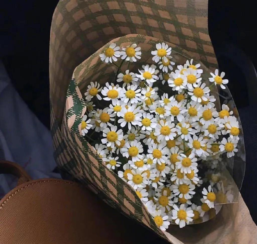 聚散随缘半点不由人,聚散无时终有时