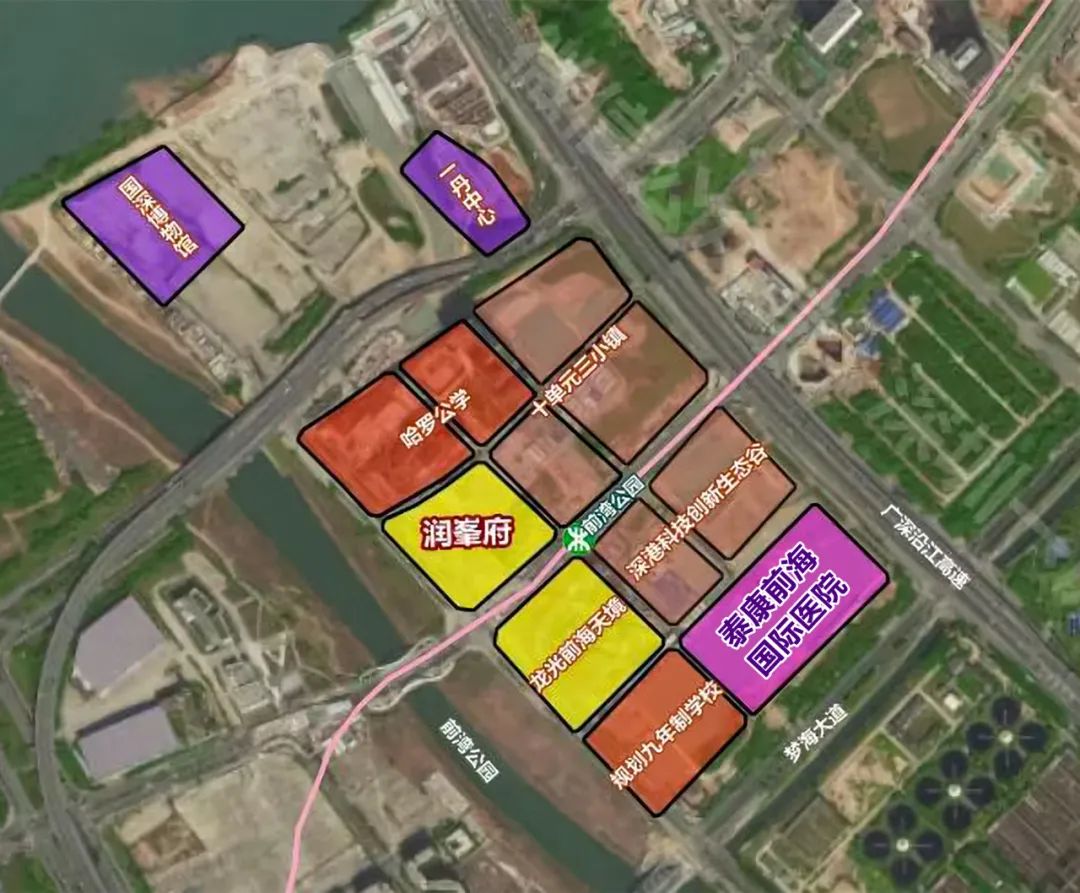 前海泰康国际医院专家团队,泰康深圳前海国际医院