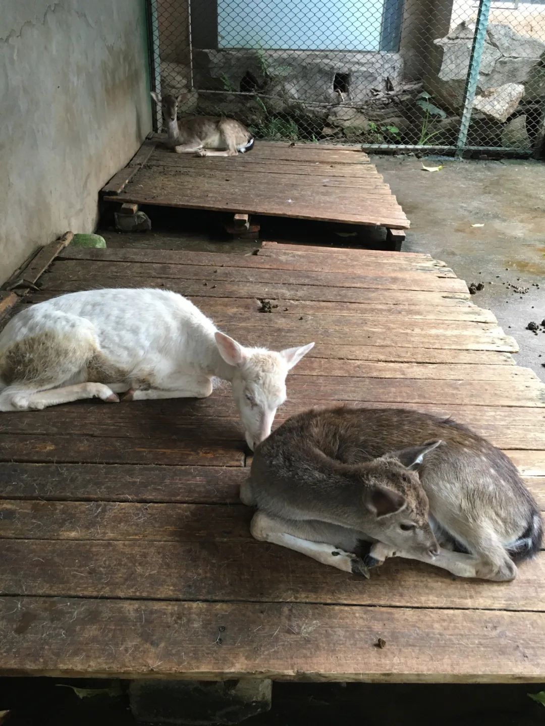 旭光电动车行,旭光车行向阳路