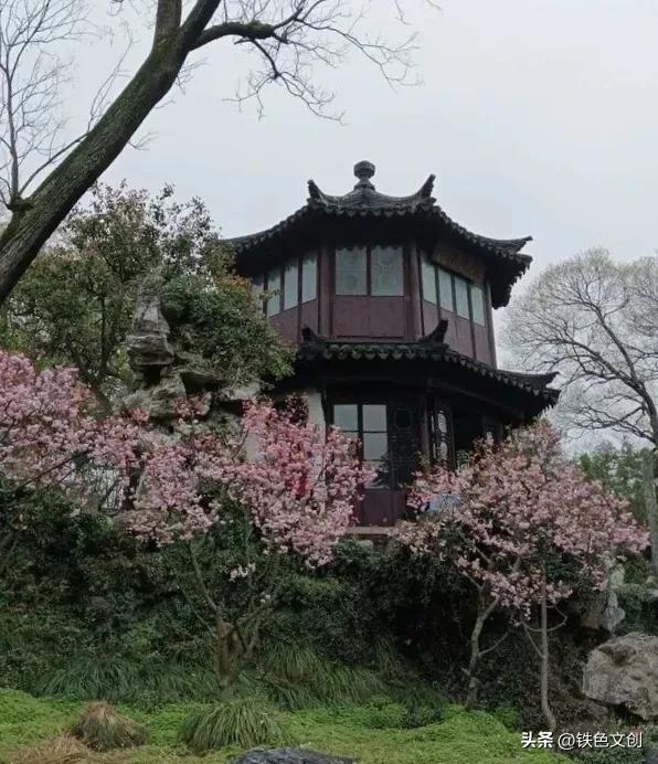 苏州游记之拙政园,苏州拙政园一日游攻略图片