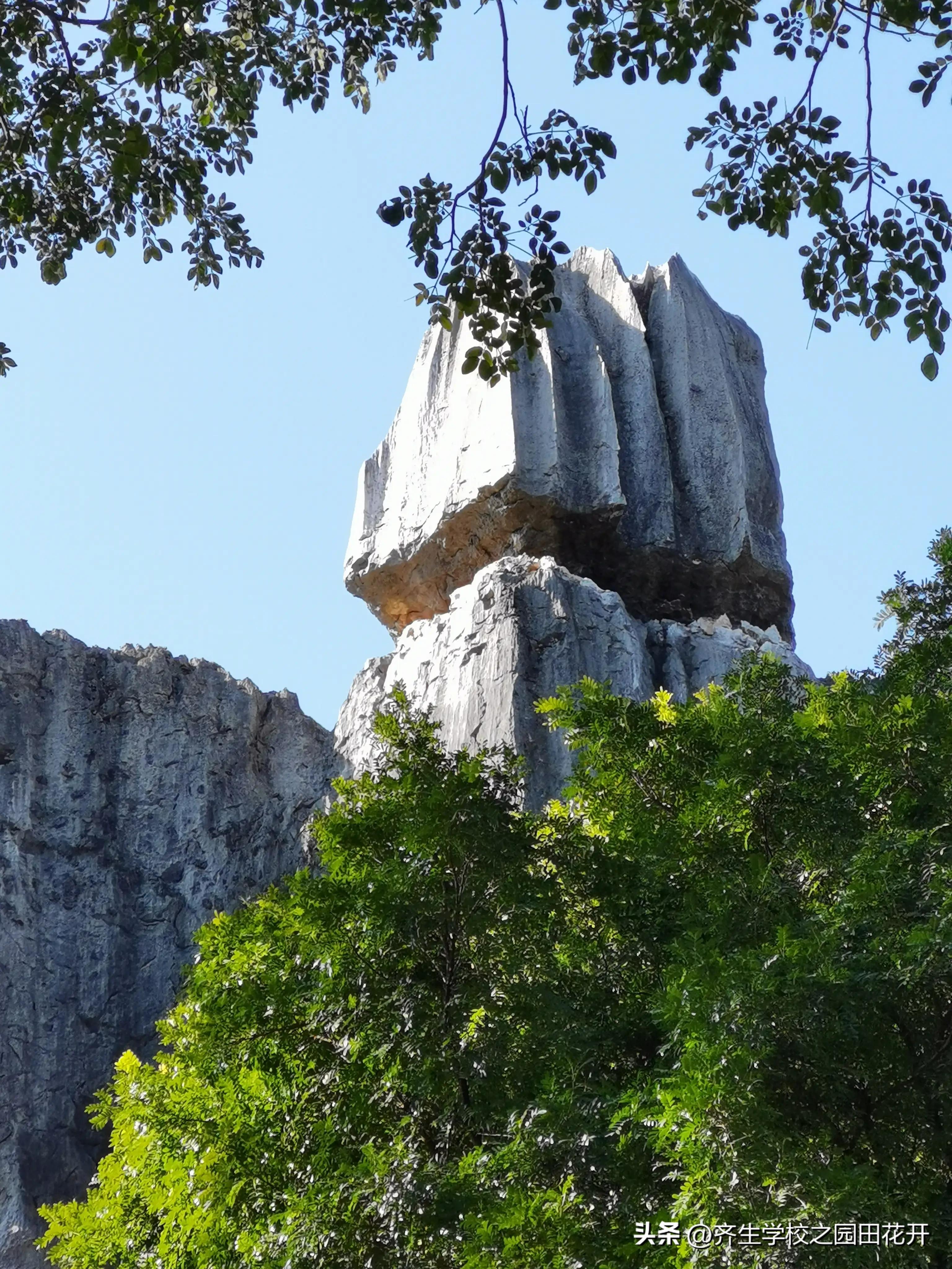 庭院假山别墅花园视频,庭院花园设计实景图凉亭假山鱼池