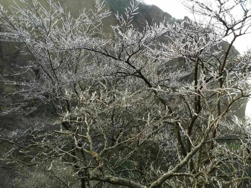 游黄山的经历,第一次旅行黄山