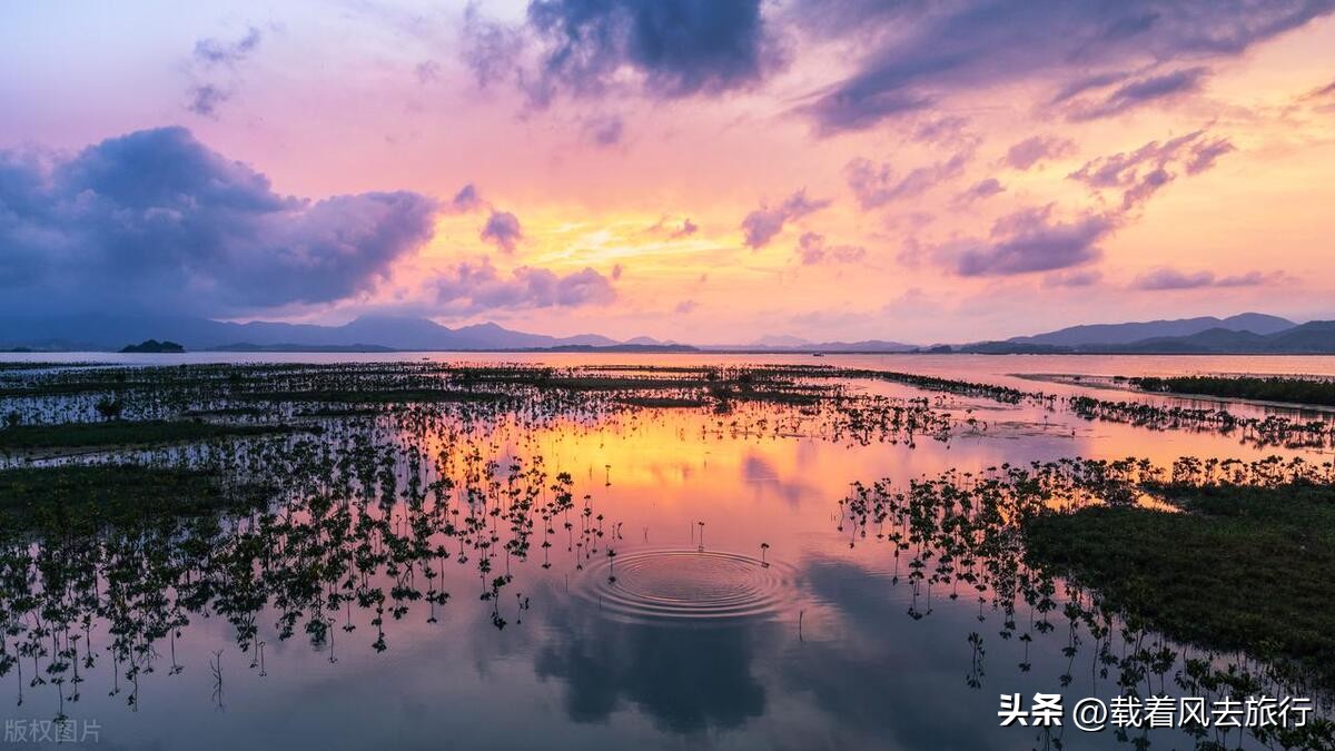 适合夏天避暑的旅游胜地,漳州夏天避暑景点
