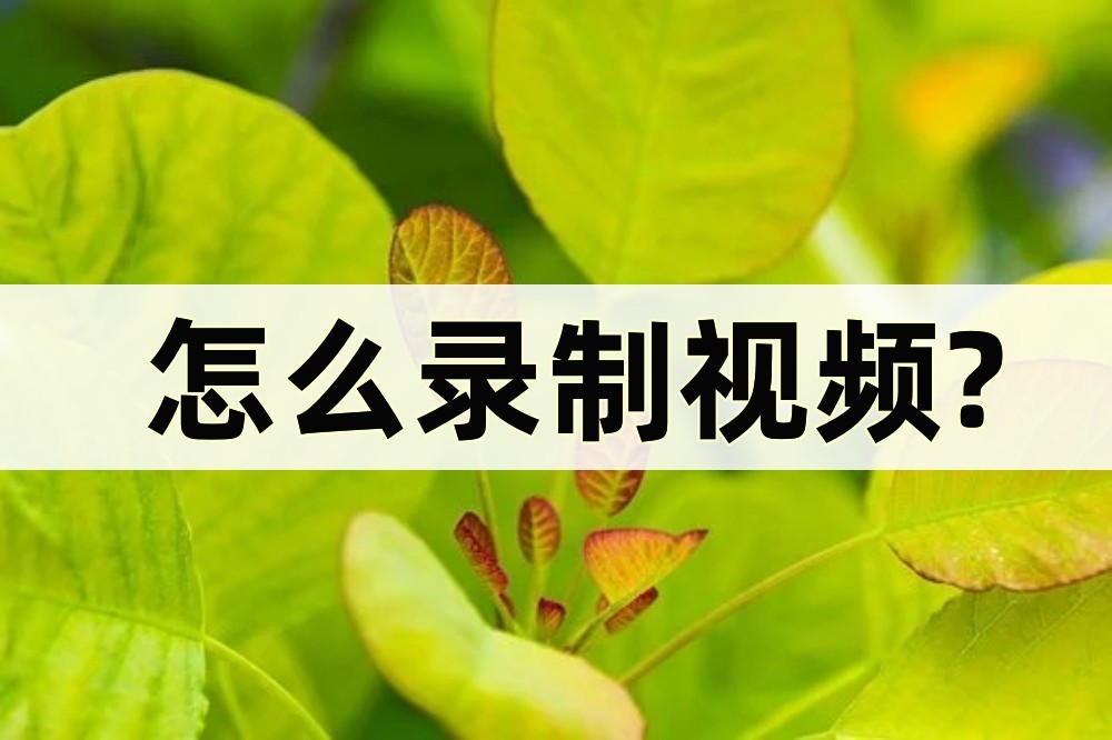 怎么样录制视频教程,如何录制视频内容
